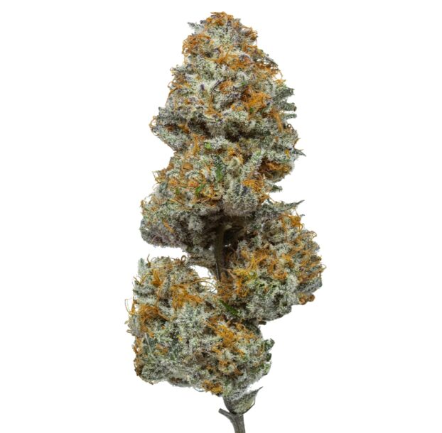 Flow Gardens Paradise OG: Premium USA Grown CBD Flower bud