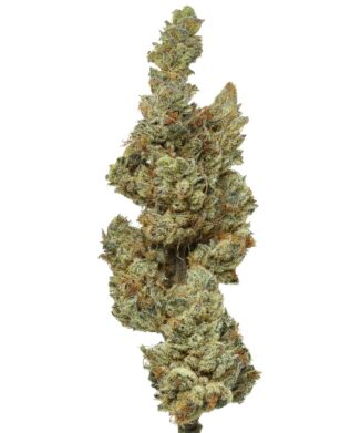 Flow Gardens USA Grown Wizard of Oz CBD Flower bud on white background