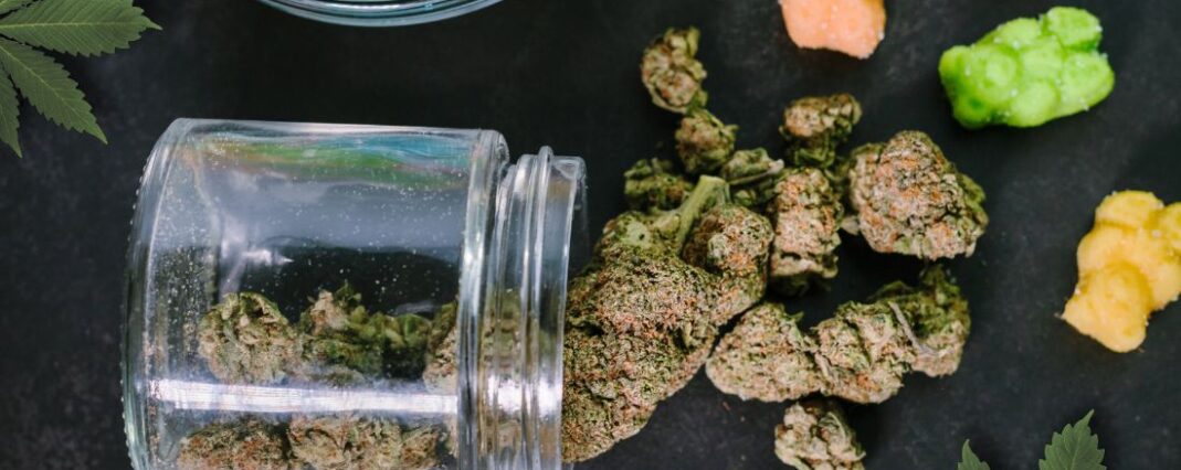 CBD Tea Flower and CBD Gummies