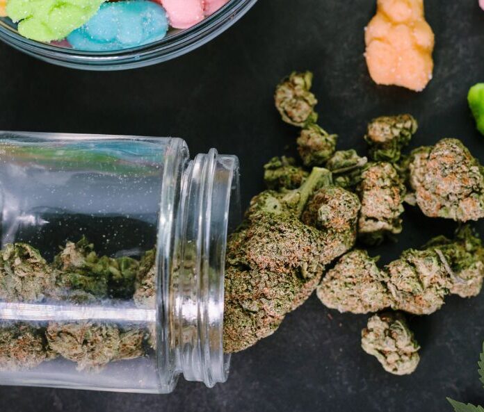 CBD Tea Flower and CBD Gummies