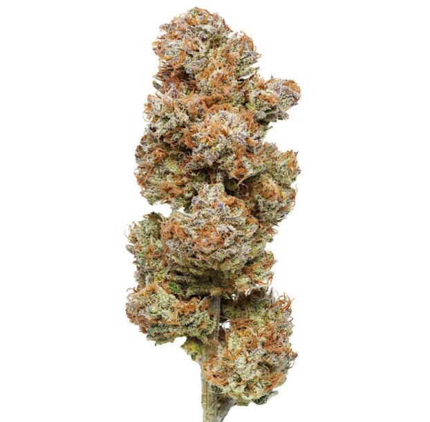 Flow Gardens USA Grown CBD Flower: Sour Tsnunami on white background