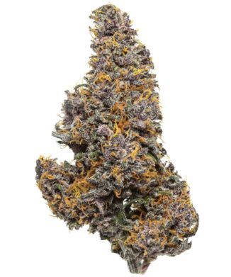 Flow Gardens – Blue Meringue USA CBD flower bud on white background