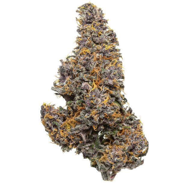 Flow Gardens – Blue Meringue USA CBD flower bud on white background