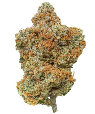 Flow Gardens USA CBD Flowers – Interstellar CBD Hemp Flower bud on white background