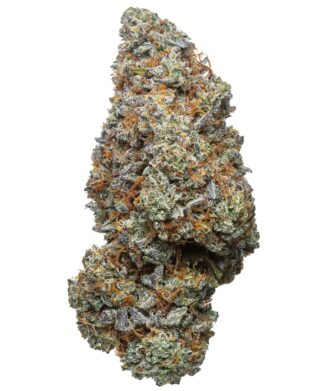 Flow Gardens CBD Flower USA – Skunk Butter bud on white background
