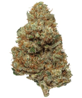 Flow Gardens USA Grown CBD Flower: Wipeout - CBD flower bud on white background