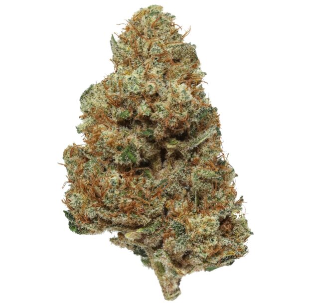 Flow Gardens USA Grown CBD Flower: Wipeout - CBD flower bud on white background