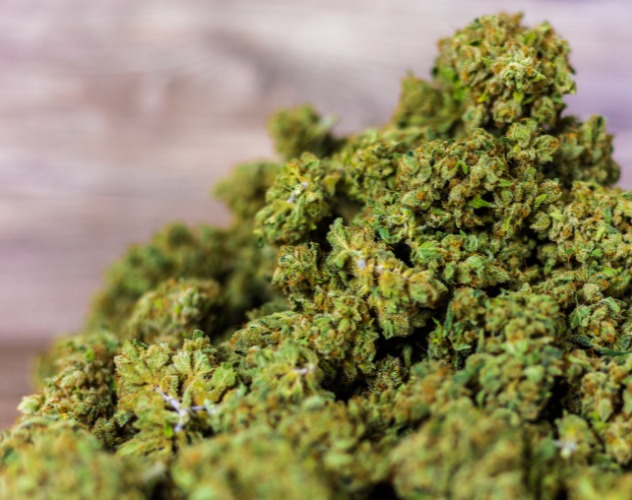CBD flower buds