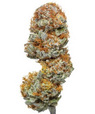 Flow Gardens USA Grown CBD Flower: Blueberry on white background