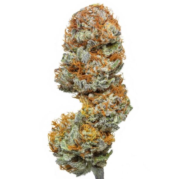 Flow Gardens USA Grown CBD Flower: Blueberry on white background