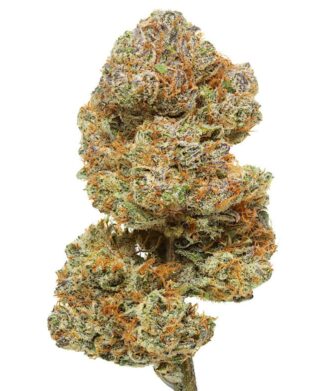 Flow Gardens USA CBD Flower: Cakeberry Brûlée on white background