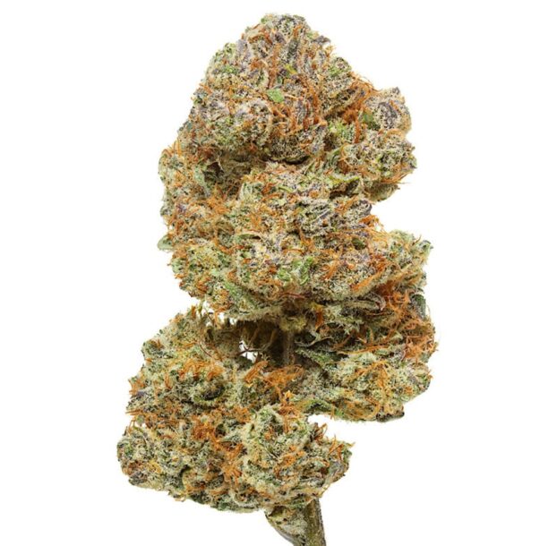 Flow Gardens USA CBD Flower: Cakeberry Brûlée on white background