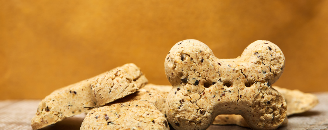 CBD pet treats in the shape of a dog bone