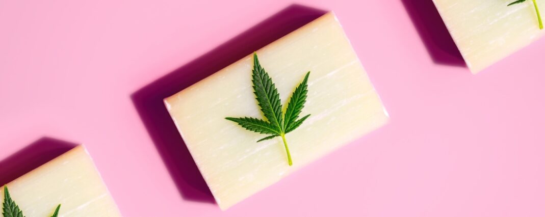 hemp leaf on top of soap bar