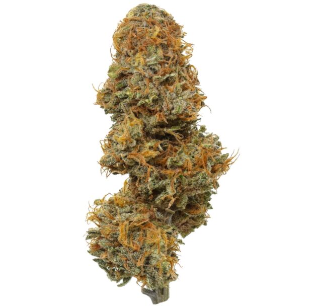 Flow Gardens USA Grown CBD Flower: Gassed Up (Bubba Gas x T1)