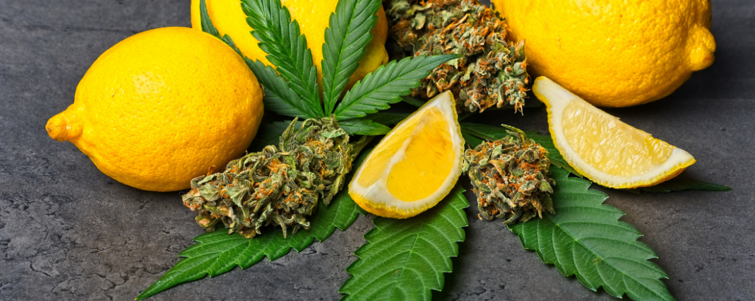 Terpenes