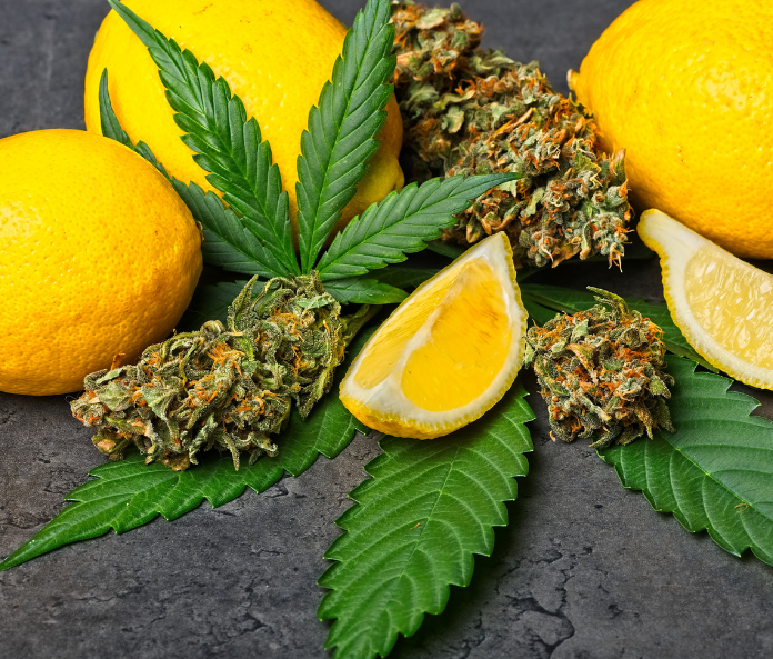 Terpenes