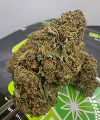 Pineapple Crush – Light Deprivated CBD Flower medium bud