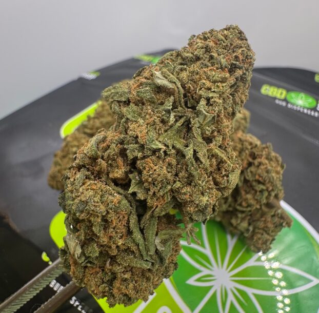 Pineapple Crush – Light Deprivated CBD Flower medium bud