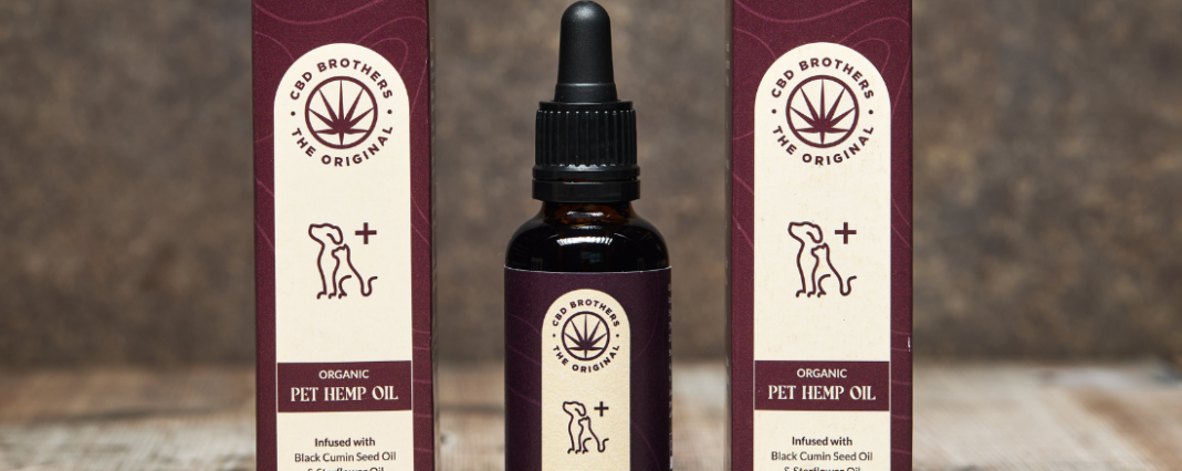 CBD oil products blog cover image