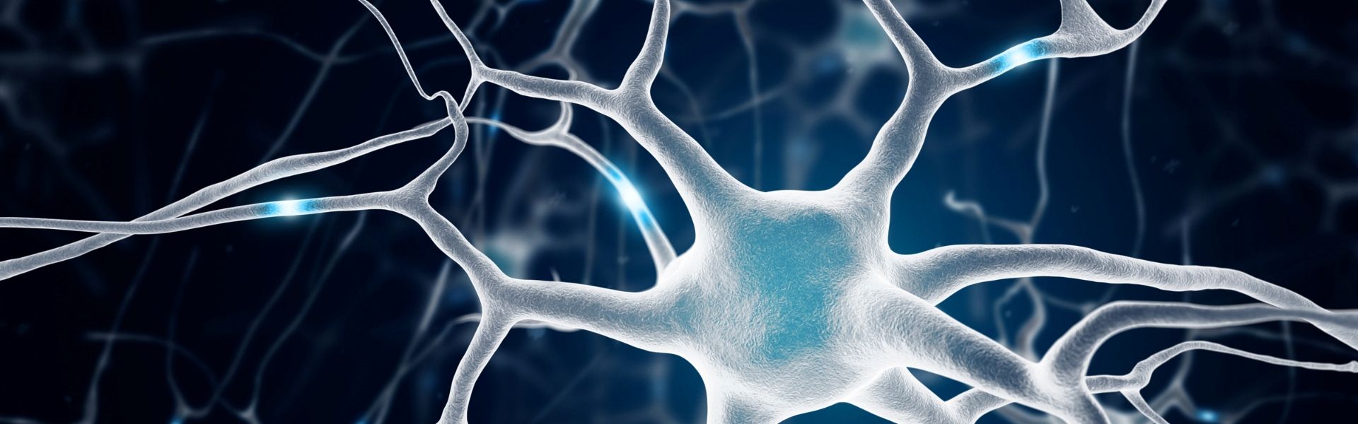 Illustration of brain receptors