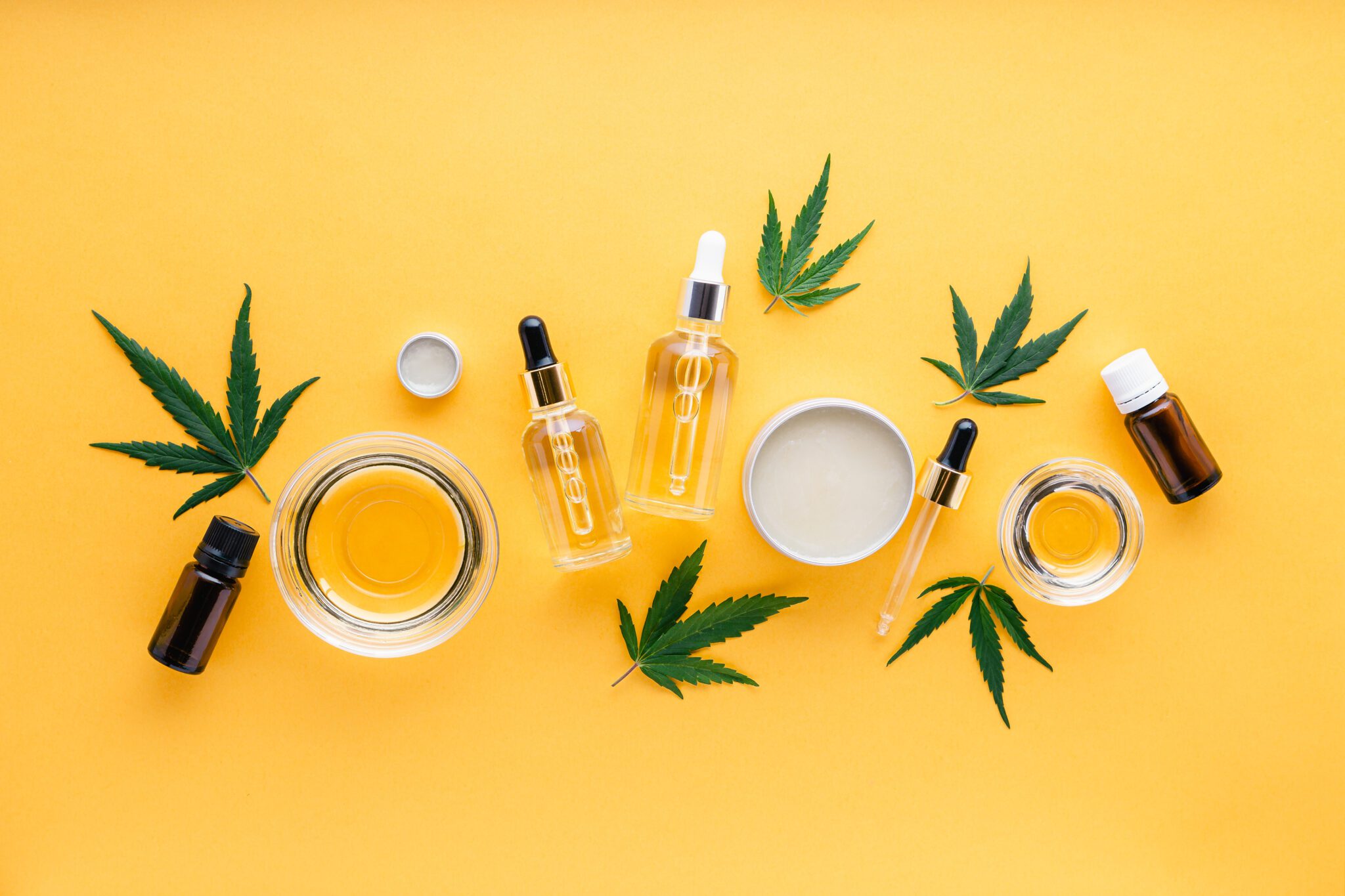 Assorted CBD products flatlay image with CBD oil dropper bottles, pots and small hemp plant leaves