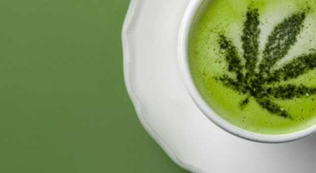 Green Hemp Leaf design over milk in a cup