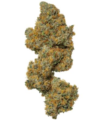 USA BUDS FLOWGARDENS
