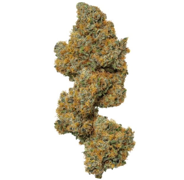 USA BUDS FLOWGARDENS