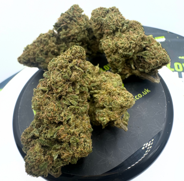 Kandy Kush - Whole Flower Hemp CBD Tea - Image 2