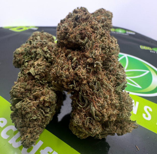 White Rhino - CBD Tea Flower - Image 2