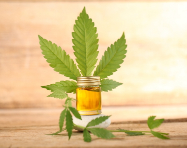 Pot of CBD oil with a hemp plant in the background