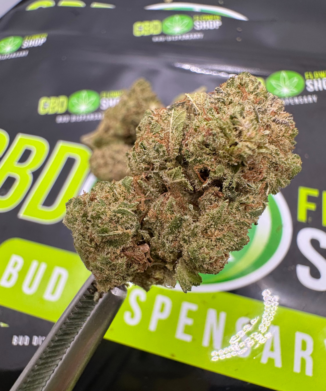 CBD BUDS