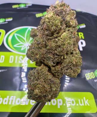CBD BUDS