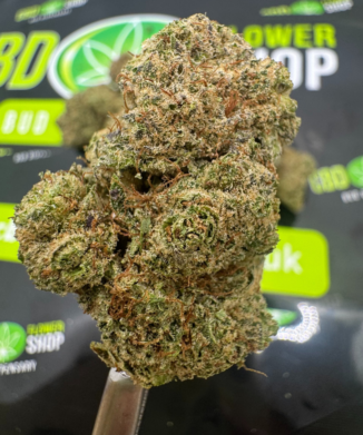 CBD BUDS