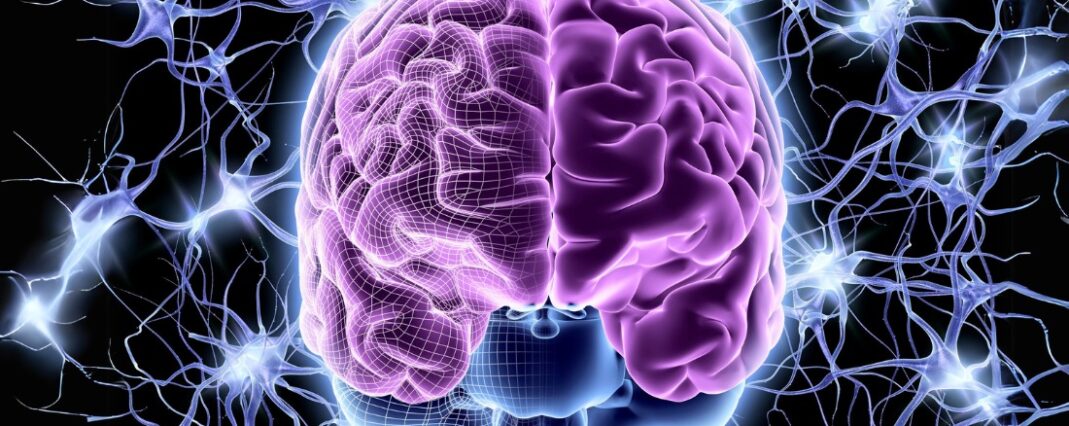 brain graphic