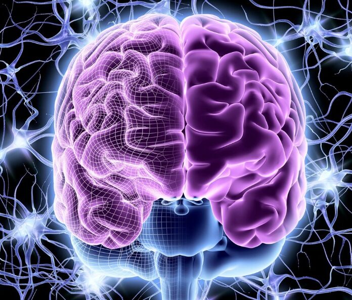 brain graphic