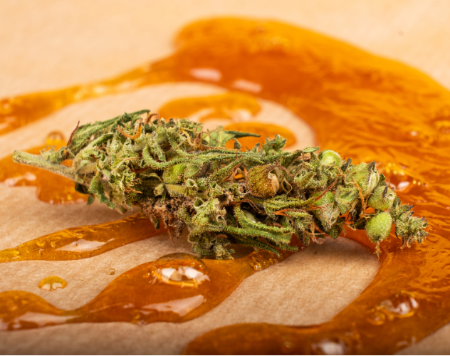 cbd shatter and cbd hemp flower
