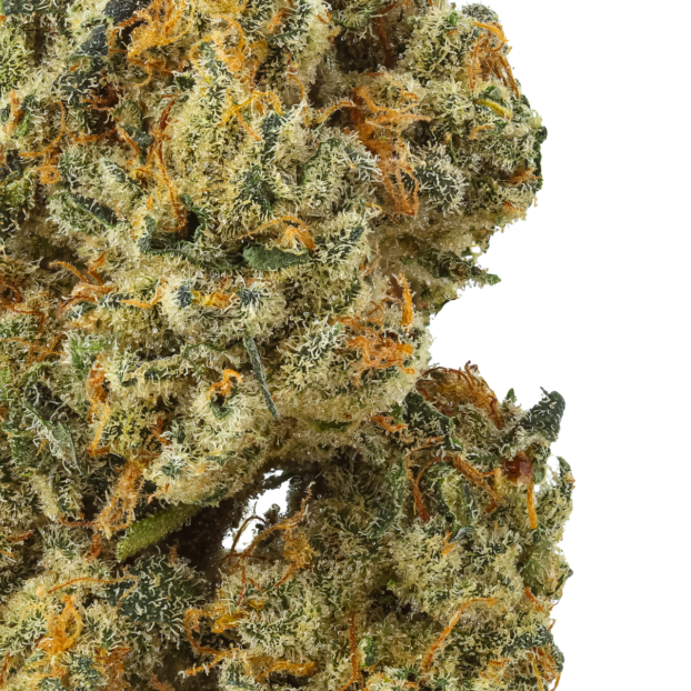 Flow Gardens USA Grown CBD Flower: Watermelon Pines - Image 2