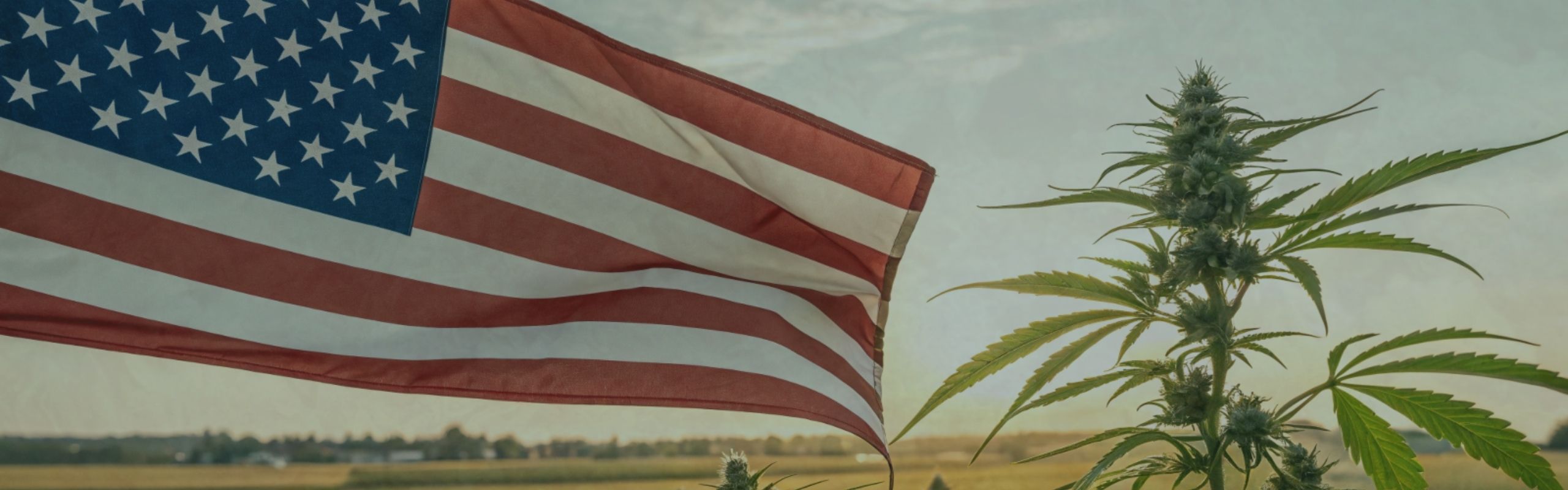 The CBD flower shop flow gardens USA banner
