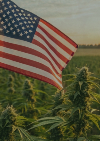 The CBD Flower Shop flow gardens USA mobile banner