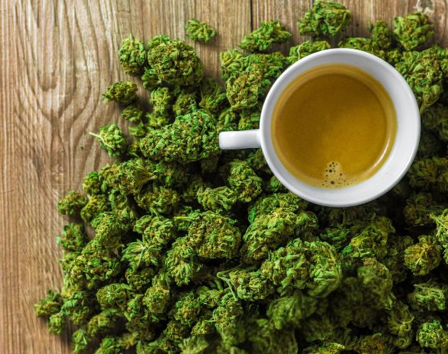 a tea cup on top of a pile of hemp buds