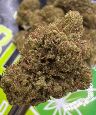 Close-up of light deprivation-grown Jack Herer hemp flower rich in CBD