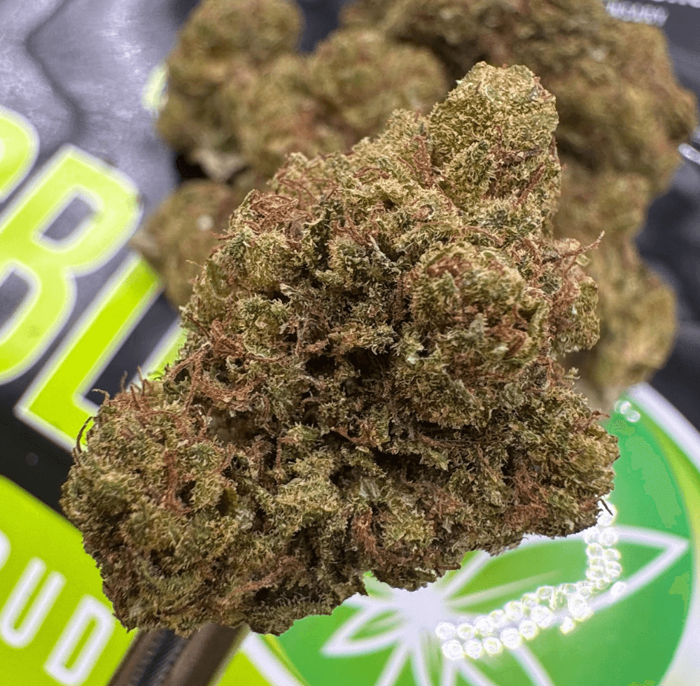 【Sativa】 Jack Herer 1ml CBD 04 Jack Herer Whole Hemp CBD Flower – Uplifting Sativa