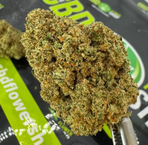 Jaffa Cake Strain CBD Flower