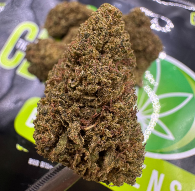Close-up of a Key Lime Pie CBD flower bud