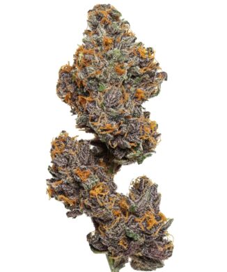Flow Gardens USA Grown CBD Flower: Legendary Platinum OG