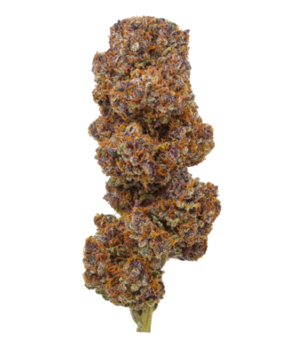 Flow Gardens USA Grown CBD Flower: Daiquiri Factory