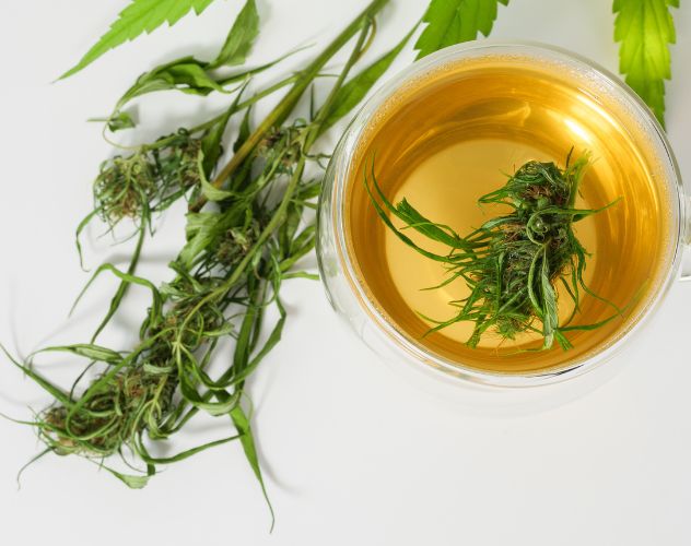 cbd flower buds in cup of tea