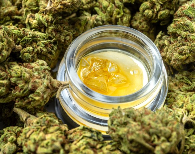 pot of cbd wax surrounding by cbd flower buds